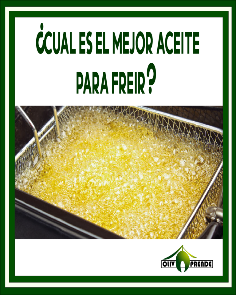 ¿Cuál es el mejor aceite para freir?