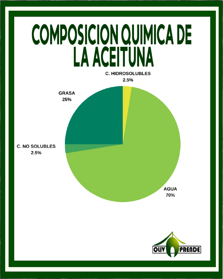 Composición química de la aceituna